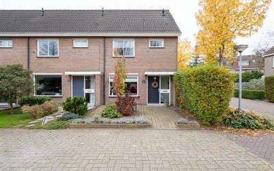 Gentiaan 29
