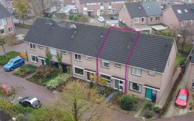 Gentiaan 7
