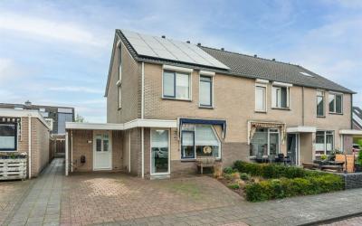 Pijlkruid 49