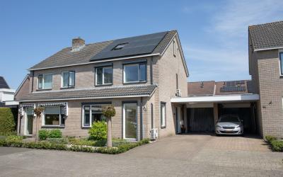Pijlkruid 59