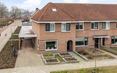 Zenegroen 1