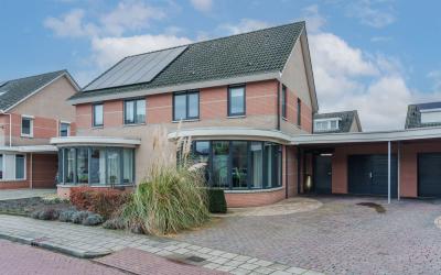 Steenanjer 6