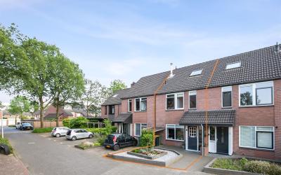 Nieuwenhuis. 7