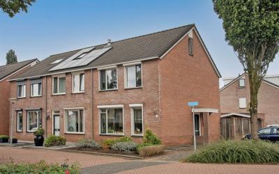 Roerdomp 2