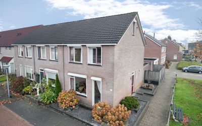 Scholekster 41