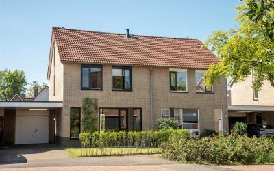 Scholekster 24