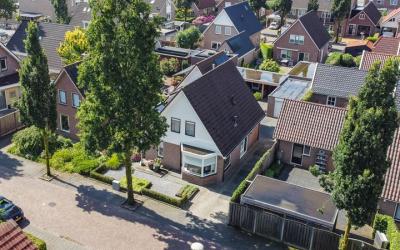 Roerdomp 31