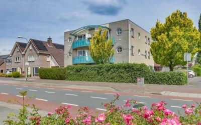 Roerdomp 9