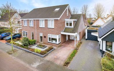 Aalscholver 64