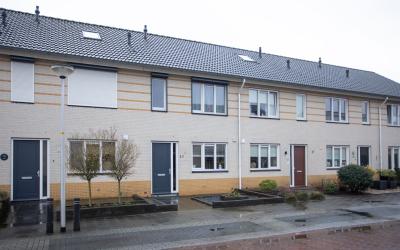 Pastinaak 37