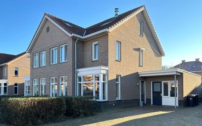 Boterbloem 7