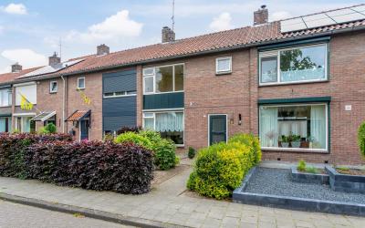 Nachtegaals. 41
