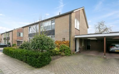Coornhertstraat 11