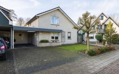 Warfriet 43