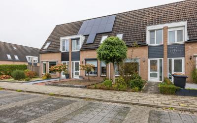 Woert 6