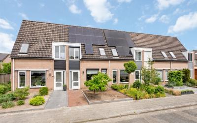 Woert 8