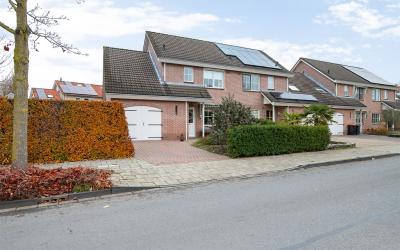 Gentiaan 55