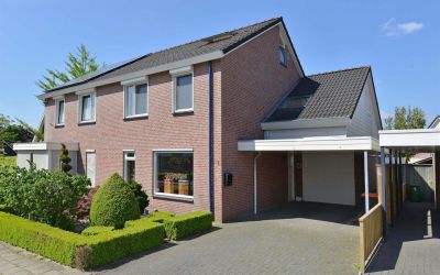 Korenbloem 3