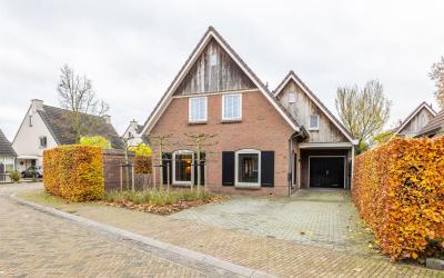 Sleutelbloem 1