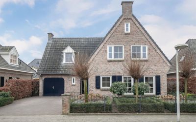 Zilverschoon 3