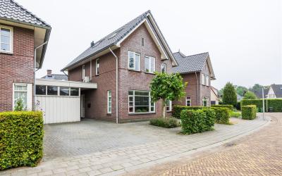 Duinroos 4