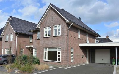 Duinroos 8