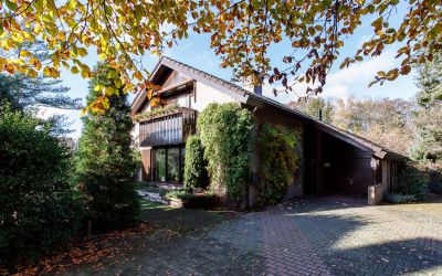Molenesch 16