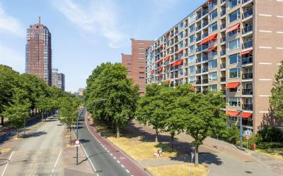 Veenstraat 184
