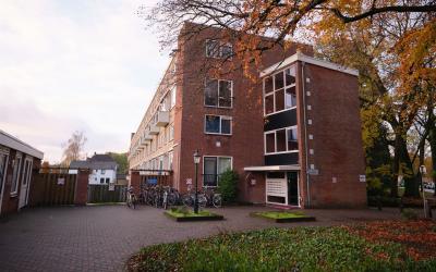 Oliemolensingel 216