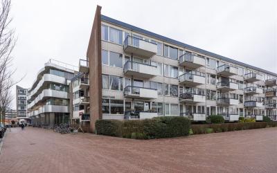 Burgemeeste. 36