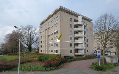 Kleine Hout. 15