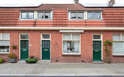 Tulpstraat 19