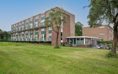 Roelof van. 131