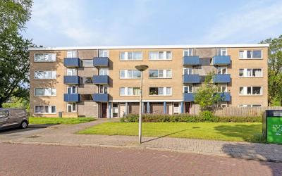 Roelof van. 223