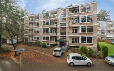 Park de Kot. 87