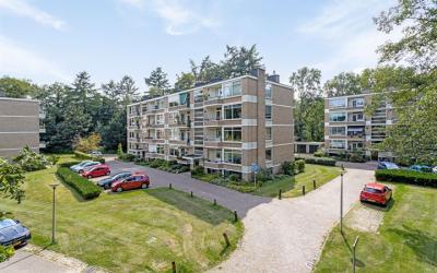 Park de Kot. 99