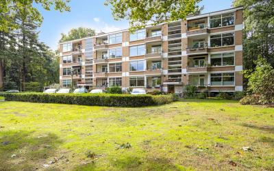 Park de Kot. 125