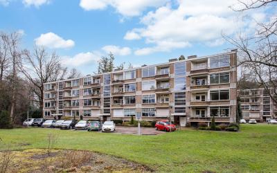 Park de Kot. 200