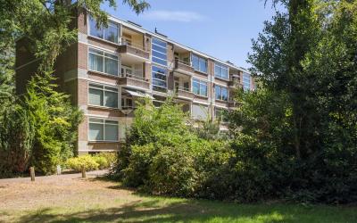 Park de Kot. 208