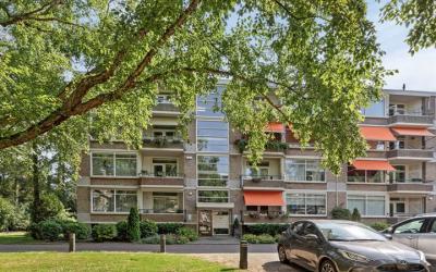 Park de Kot. 212