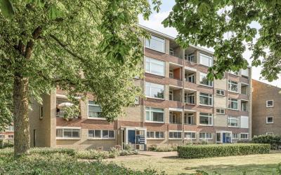Dommelstraat 30