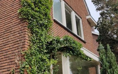 Oldenzaalsestraat 677
