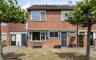 Hinnemanska. 7