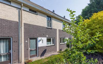 Pluimstraat 163