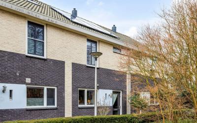 Pluimstraat 165
