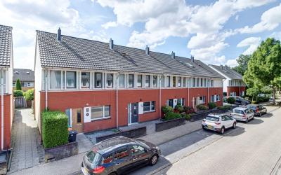 Hoornbladla. 36