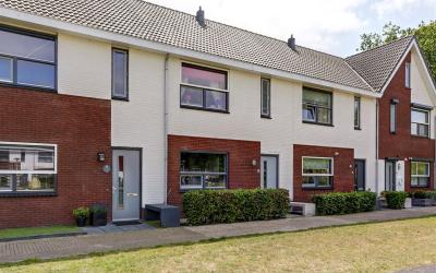 Heidevlinder 70