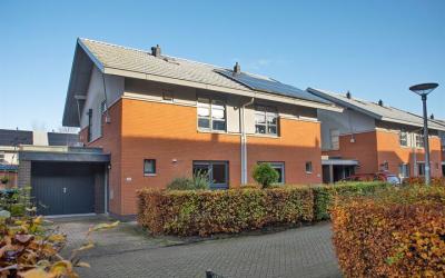 Satijnvlinder 20
