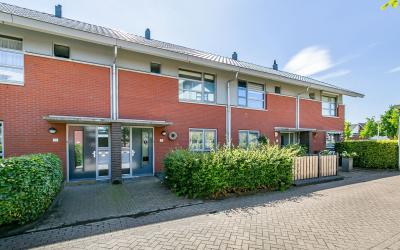 Kopervlinder 21