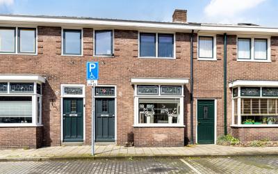 Cornelis Sp. 43
